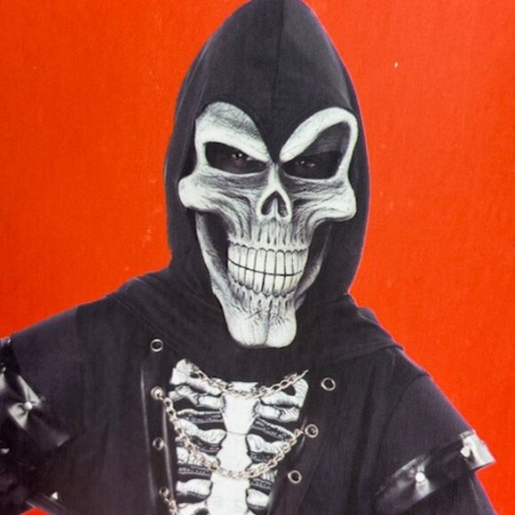 Skeleton Evil Crypt Master Mask & Hood Halloween Costume Accessory Kids - Picture 1 of 3